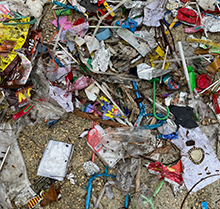 Marine Litter Management